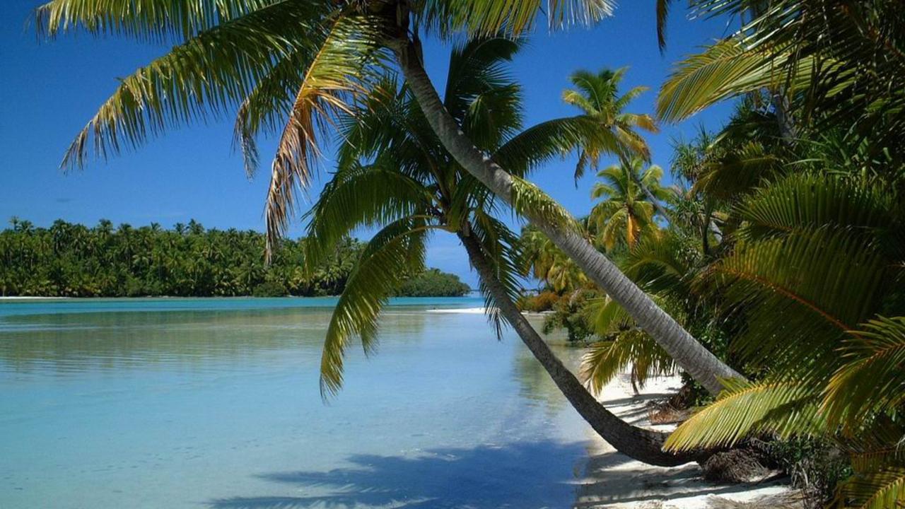 Seven cases of dengue have reported on Cook Islands, who have declared an outbreak last week. Picture: Supplied