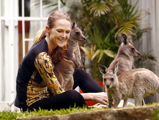 WIRES volunteer Clare is caring for Eastern Grey joeys in the backyard of her parents’ Sydney home. Picture: Sam Ruttyn