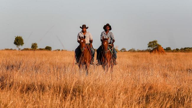 Stockmen at work on Myroodah Station, which is about to become an alternative to Western Australia’s malfunctioning children’s prison. Picture: Colin Murty/The Australian