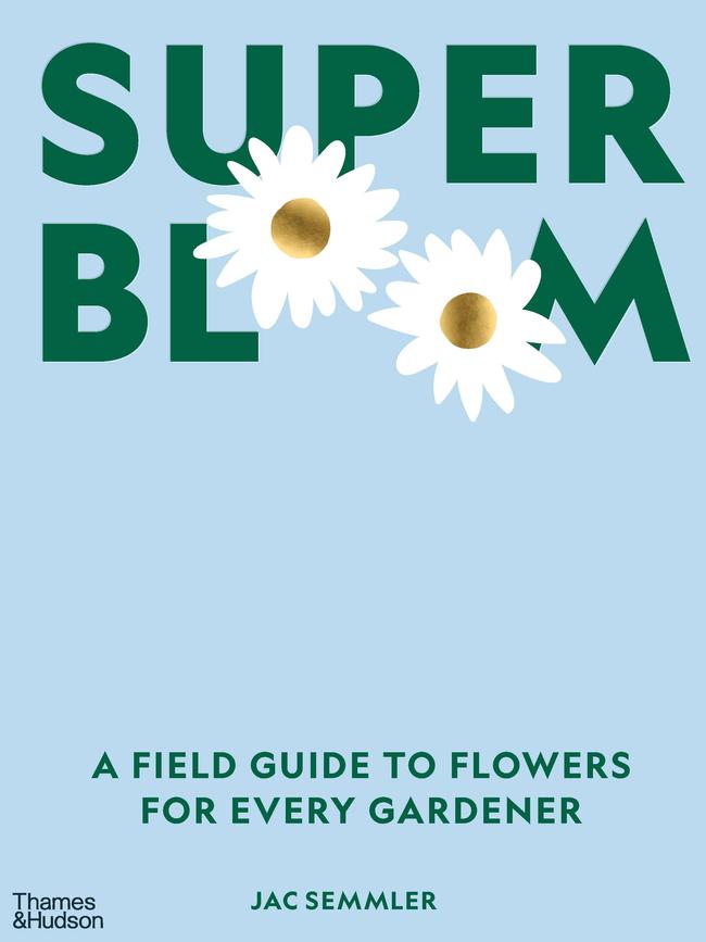 Super Bloom by Jac Semmler.