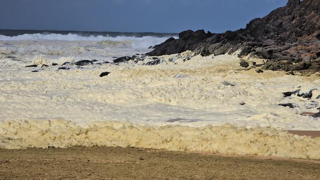 A sludge-coloured foam and dead fish have been sighted on the beaches of Waitpinga Point to Victor Harbor. Picture: Facebook