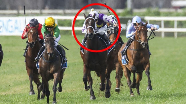 Kitsilano (circled), pictured running third behind She's All Sass at Muswellbrook two starts back, can break through for a deserved victory at Kempsey on Tuesday. Picture: Bradley Photos