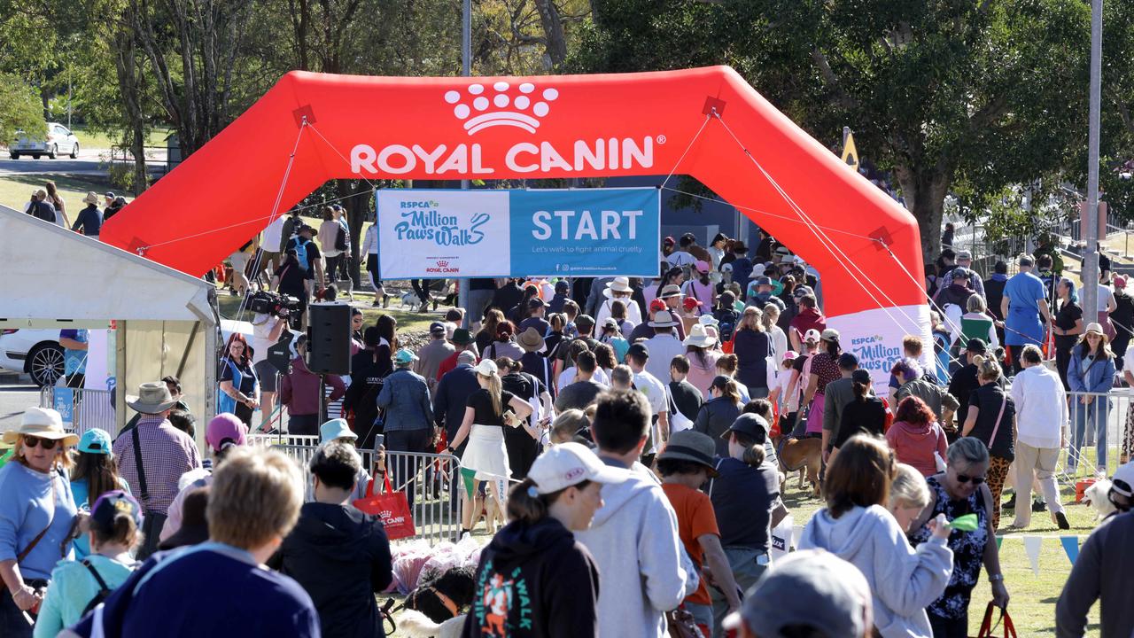 The Million Paws Walk, UQ St Lucia in 2023. Picture: Steve Pohlner