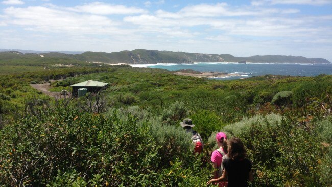 The Bibbulmun Track at Quarrum-Owingup Nature Reserve, WA.Picture: Tourism Australia