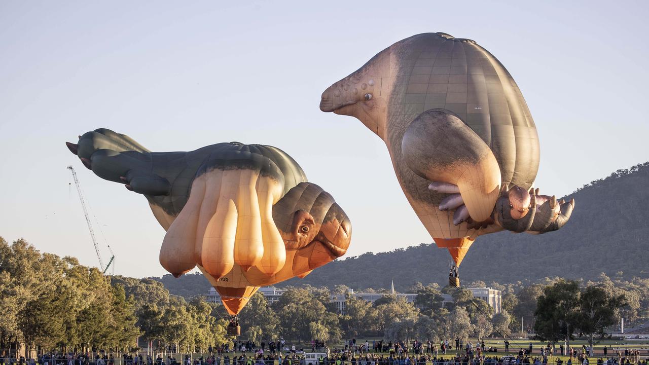 Skywhale Hot Air Balloons