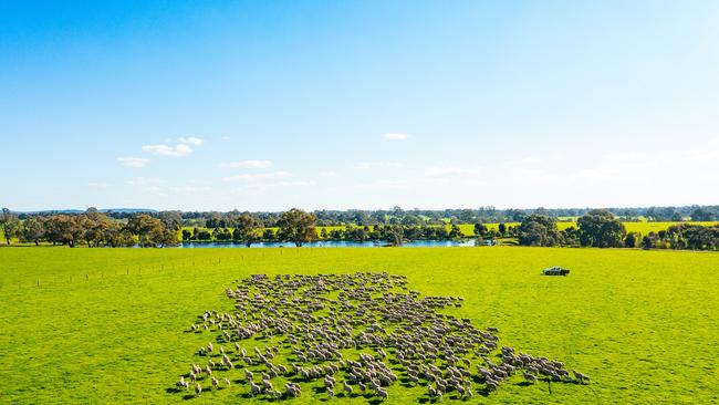 Sheep and wool and cattle have been run on the property.