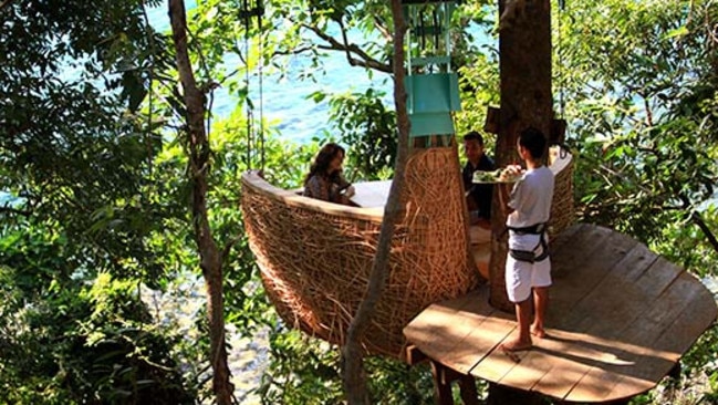 Dining among rainforest canopy is pretty incredible. Picture: Supplied