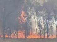 Eruption of fires 20km northwest of Cowra.