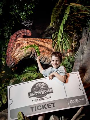 Gideon, 8, at the Jurassic World Exhibition at the Melbourne Museum.