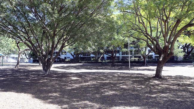 The Powerhouse dog park in August 2019. AAP Image/Richard Gosling