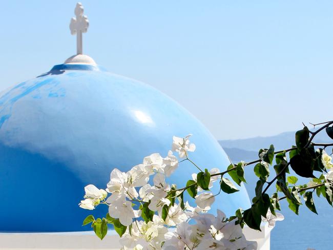 Bougainvillea is a staple in Grecian gardens.