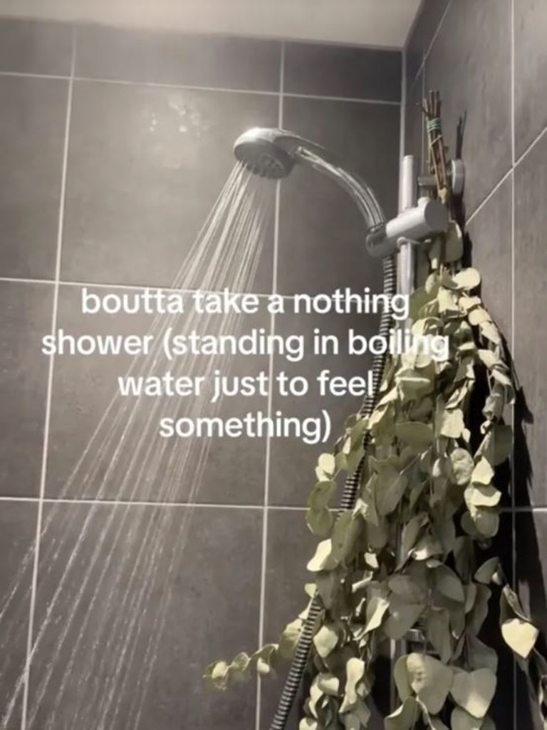 ‘nothing Showers Are Gen Z S New Self Care Obsession The Advertiser