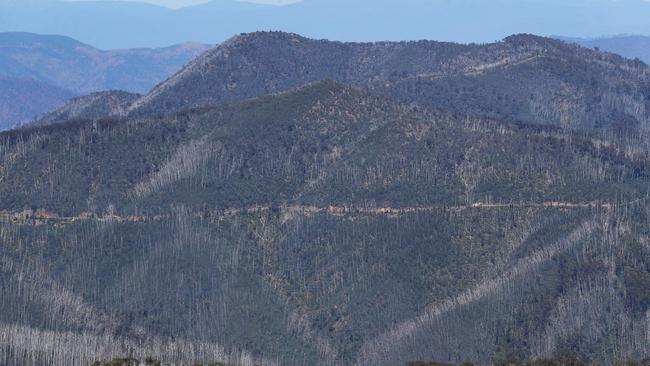 Two men died after a horror High Country crash this weekend. Picture: David Crosling