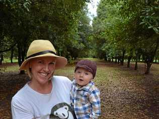 Barenuts Macadamia owner Jodie Cameron with six-month-old Ari in the Bauple Nut plantation. Picture: Boni Holmes