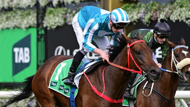 Romantic Warrior was a well held fourth at his first Australian run in the Group 1 Turnbull Stakes at Flemington. Picture: Getty Images.