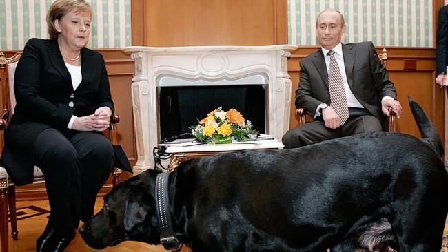 Vladimir Putin tried to intimidate German Chancellor Angela Merkel with his dog Kuni. Picture: AFP.