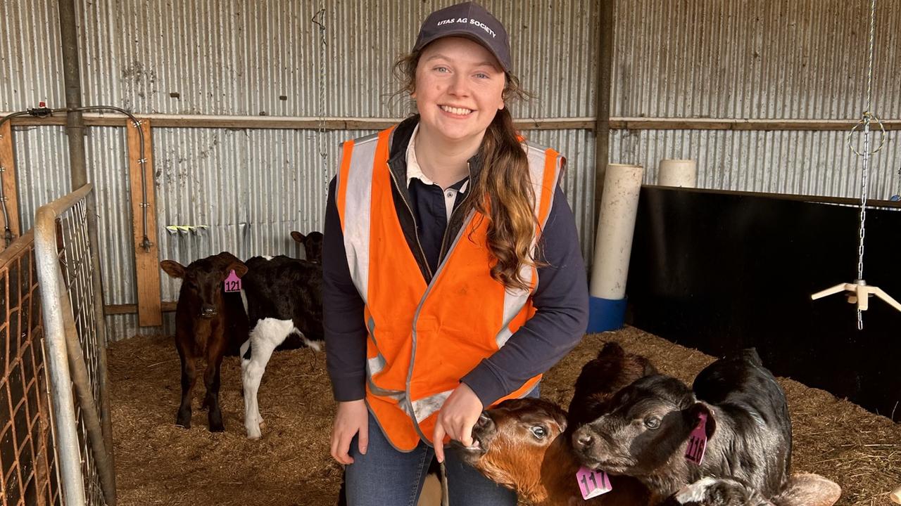 Groovin the moo: UTAS bringing fun back into milking sheds during six ...