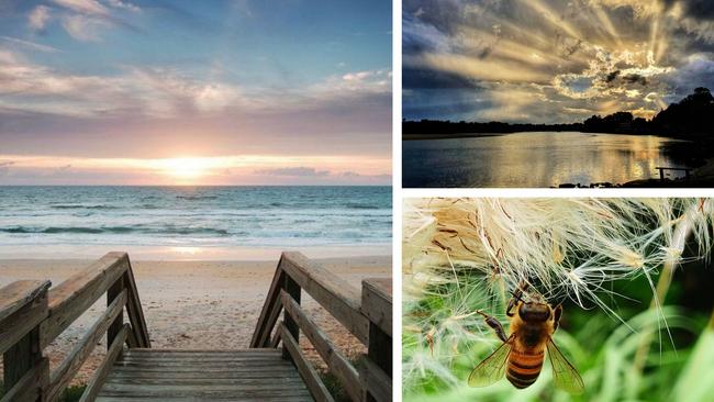 Readers have captured the beauty of the Coffs Coast.