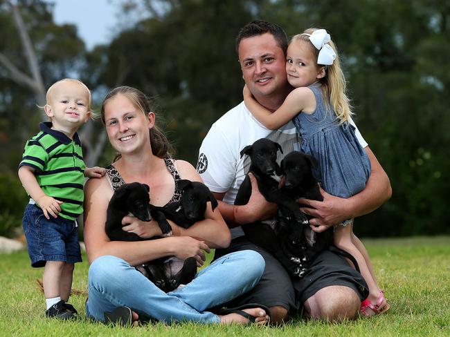 Greyhound Trainer Mitchell Pryce with his partner Sarah and their children Savannah, 3, and Bentley, 18 months / Picture: Kristi Miller