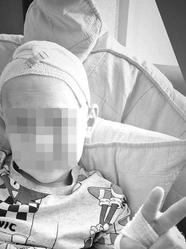 Prosecutors allege Ms Bodzsar’s son did not have cancer, as she claimed. Picture: Facebook