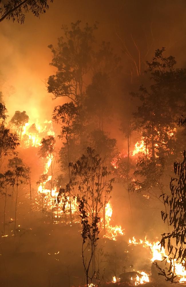 The causes of Australia’s catastrophic bushfire season will be examined in an inquiry commissioned by the federal government.