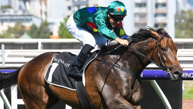 Alligator Blood is a dominant favourite to win the All-Star Mile. Picture: AAP