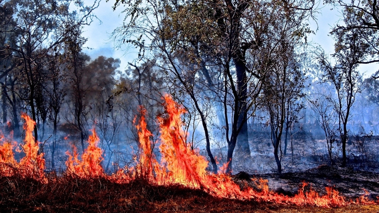 Hundreds still unable to return home as fires rage in Qld