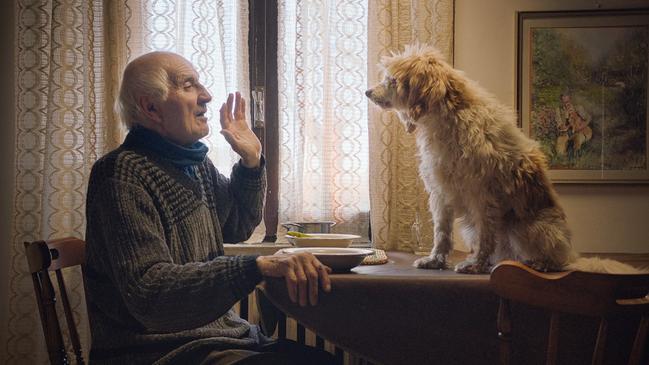 The Truffle Hunters is a tribute to the elderly men who still pursue the culinary delicacy as though they are panning for gold. Picture: Courtesy of Sundance Institute