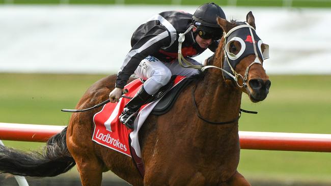 Jungle Edge returned to winning form at Sandown last weekend. Picture: Getty Images