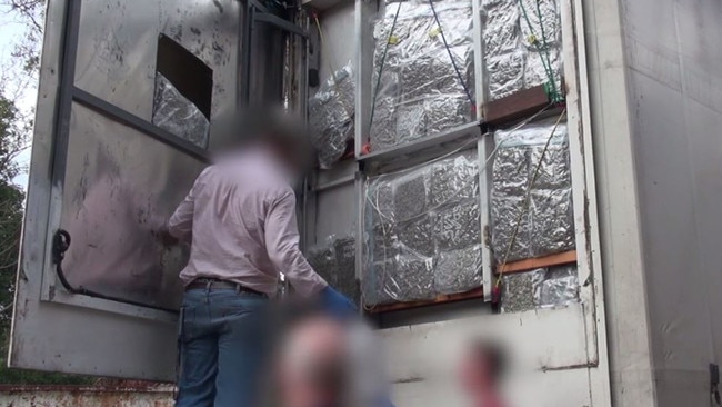 A total of 113kg of marijuana was found in the police raids.