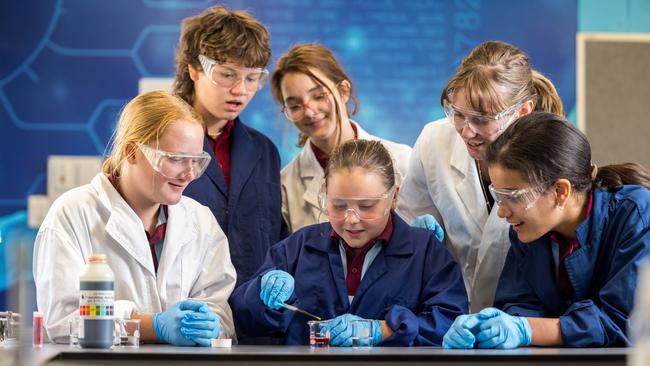 Public schools in Queensland are offering a range of excellence programs.