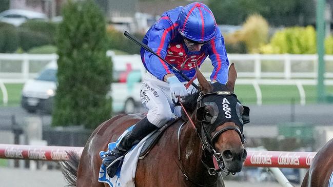 Galilaeus (blue) could not hold out Lavish Thinker first-up at The Valley. Picture: George Sal/Racing Photos via Getty Images