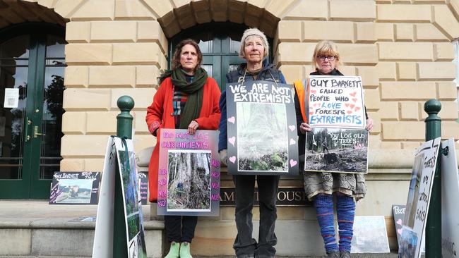 Liz Johnstone of Falmouth, Gill Gravell of South Hobart, Maria Riedl of Hobart protesting against forestry. Forest protesters at Parliament House. Picture: Nikki Davis-Jones