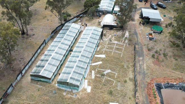 Cannabis farm raided by police near Bendigo. Picture: Victoria Police.