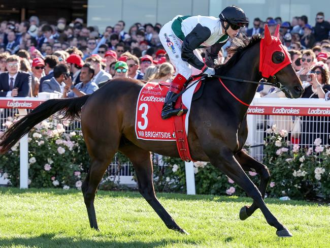 Mr Brightside (NZ) on the way to the barriers prior to the running of Ladbrokes Cox Plate at Moonee Valley Racecourse on October 28, 2023 in Moonee Ponds, Australia. (Photo by George Sal/Racing Photos via Getty Images)