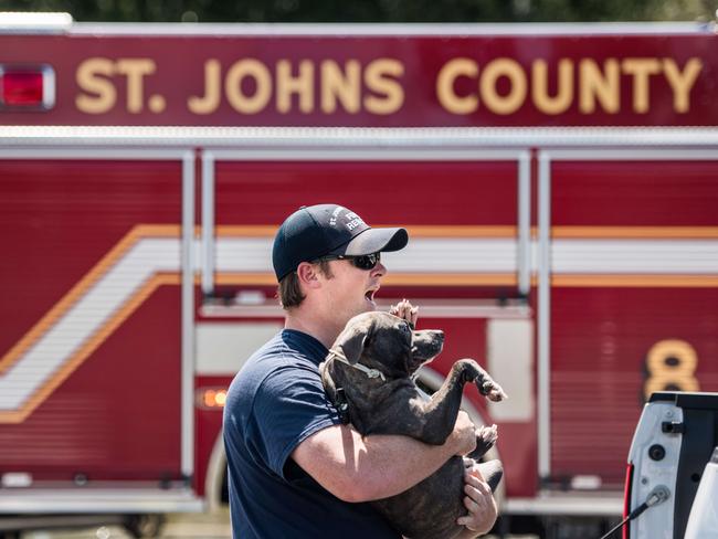 St. Johns County fireman TJ Hollings rescues a dog from flood waters caused by Hurricane Irma Sept. 12, 2017 in Hastings, Florida, United States. The storm brought flooding to areas not seen in generations. Picture: AFP