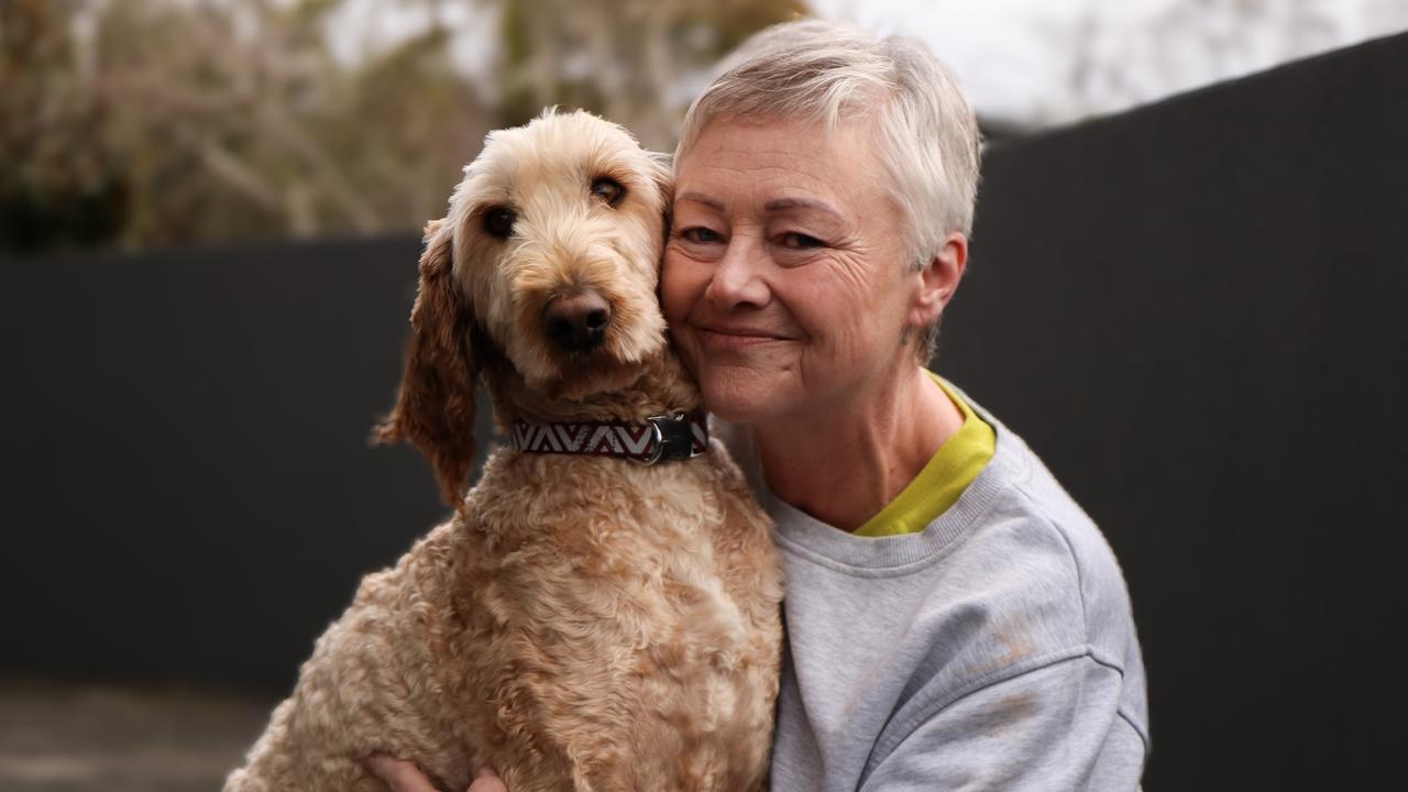 Hundreds of labradoodles surrendered to the RSPCA are looking for their ‘fur-ever’ homes after the largest puppy farm in Tasmania was shut down on Friday. Diane Jessup with Oscar the labradoodle. Picture: Stephanie Dalton