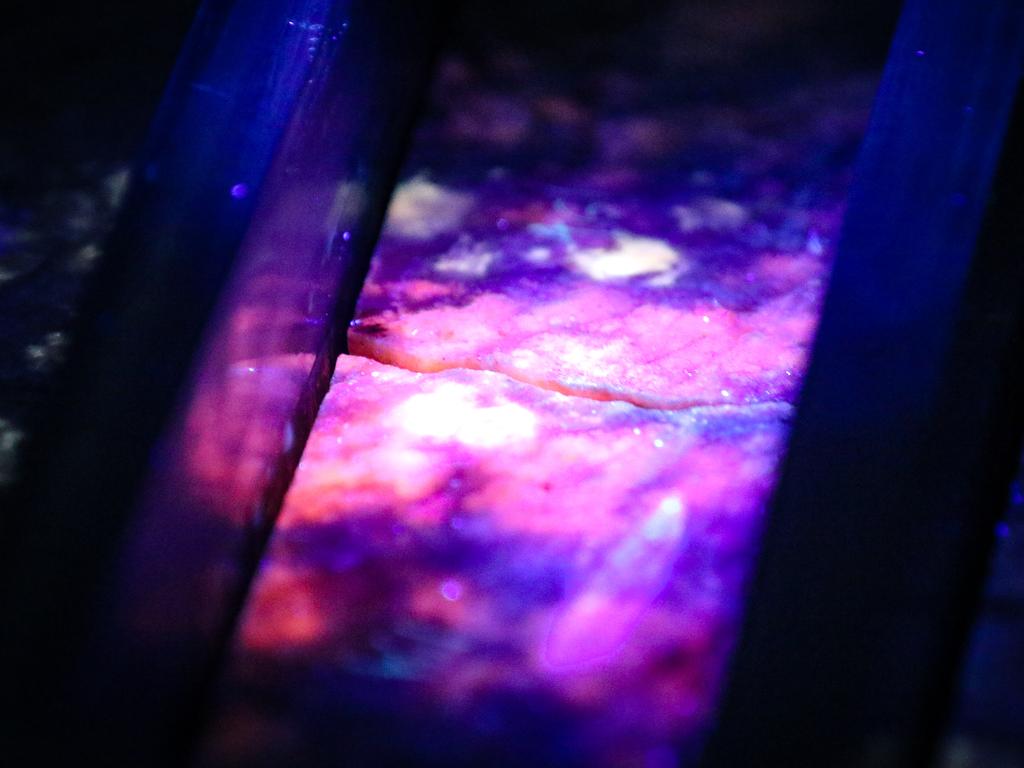 Core samples of rare earth mineral lithium under UV light. Picture: Glenn Campbell