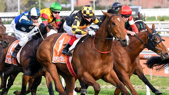 Behemoth gave Arcadia Queen a run for her money in All-Star Mile voting. Picture: Getty Images