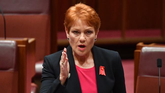 One Nation leader Senator Pauline Hanson says there are a lot of people on welfare who shouldn’t be. Picture: AAP Image/Mick Tsikas
