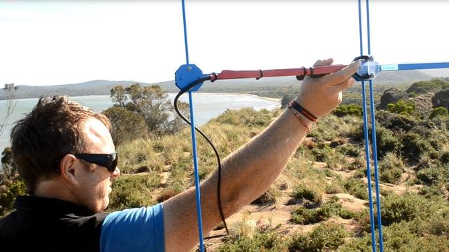 Matt Pauza tracking cats fitted with collars.