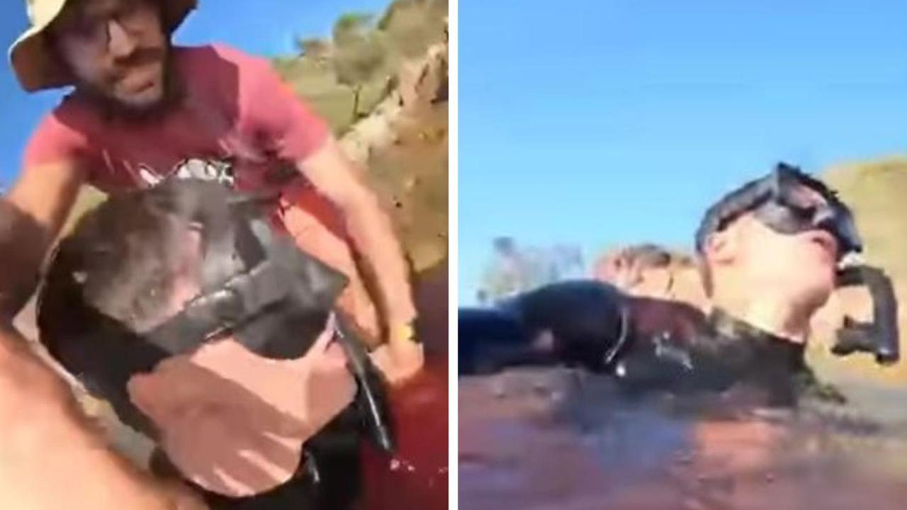 Man films own savage Aussie shark attack