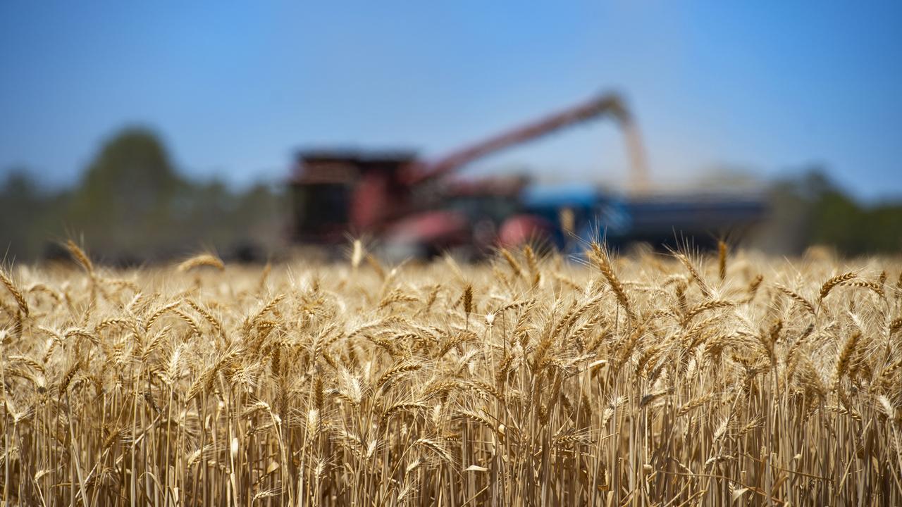 rabobank-rural-confidence-survey-rising-input-costs-knocking-farmers