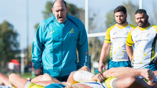 Wallabies scrum coach Mario Ledesma barks orders.