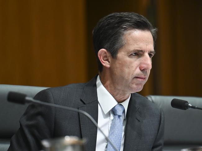 Opposition foreign affairs spokesman Simon Birmingham. Picture: NCA NewsWire / Martin Ollman