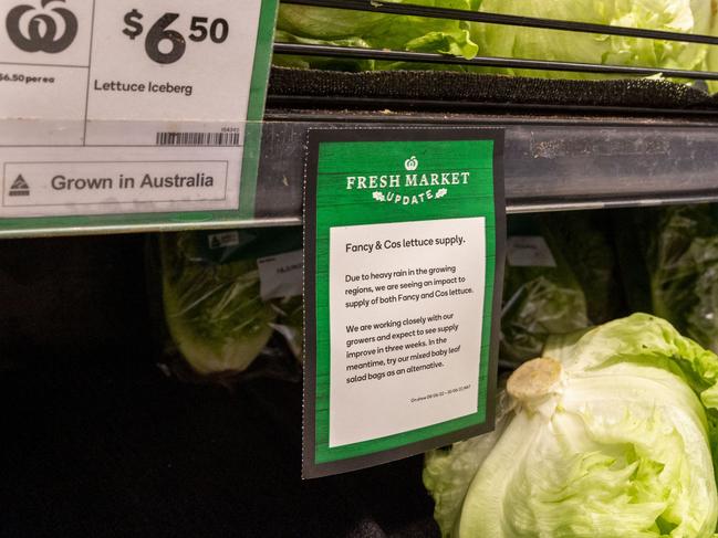 Both Woolworths Darwin and Nightcliff supermarkets had full shelves of iceberg lettuce priced at $6.50. Picture: Floss Adams.