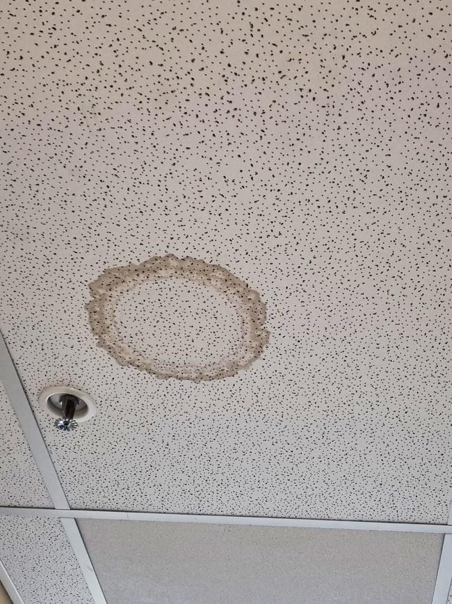 Mould on the roof of the facility. Picture: Supplied.