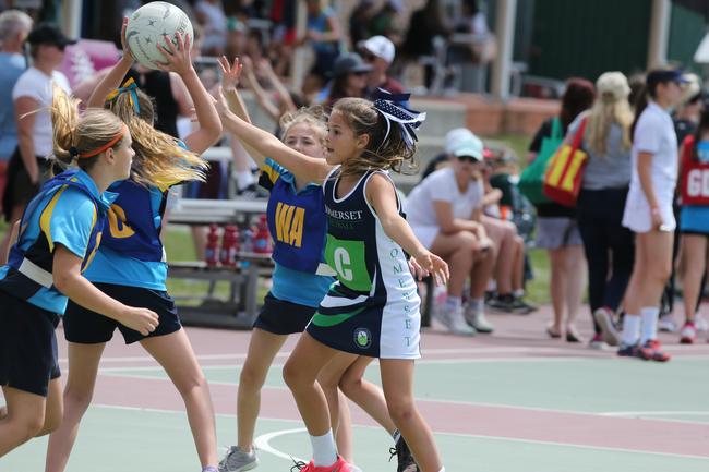 The Netball Qld Primary Schools Cup grand finals are being held at the Hinterland District Netball Association at Mudgeeraba. Picture: Mike Batterham.
