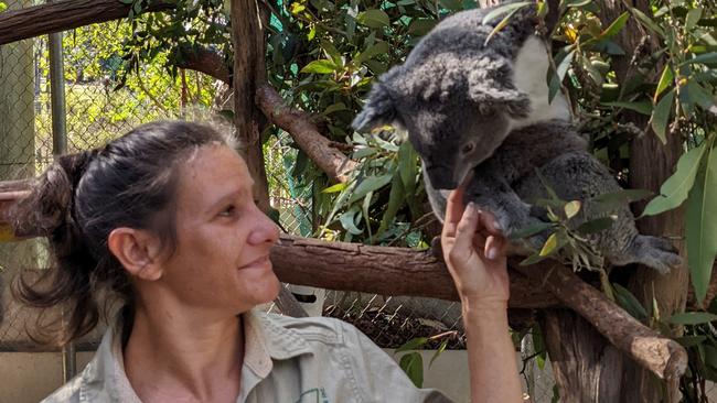 April Lacono, volunteer with friends of the Koala.