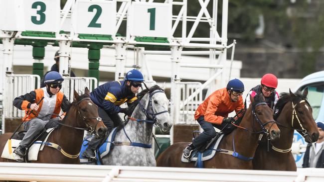 MELBOURNE, AUSTRALIA — SEPTEMBER 21: Tommy Berry riding Chautauqua (grey) jumps with the field at this mornings barrier jumpouts at Flemington Racecourse on September 21, 2018 in Melbourne, Australia. (Photo by Vince Caligiuri/Getty Images)